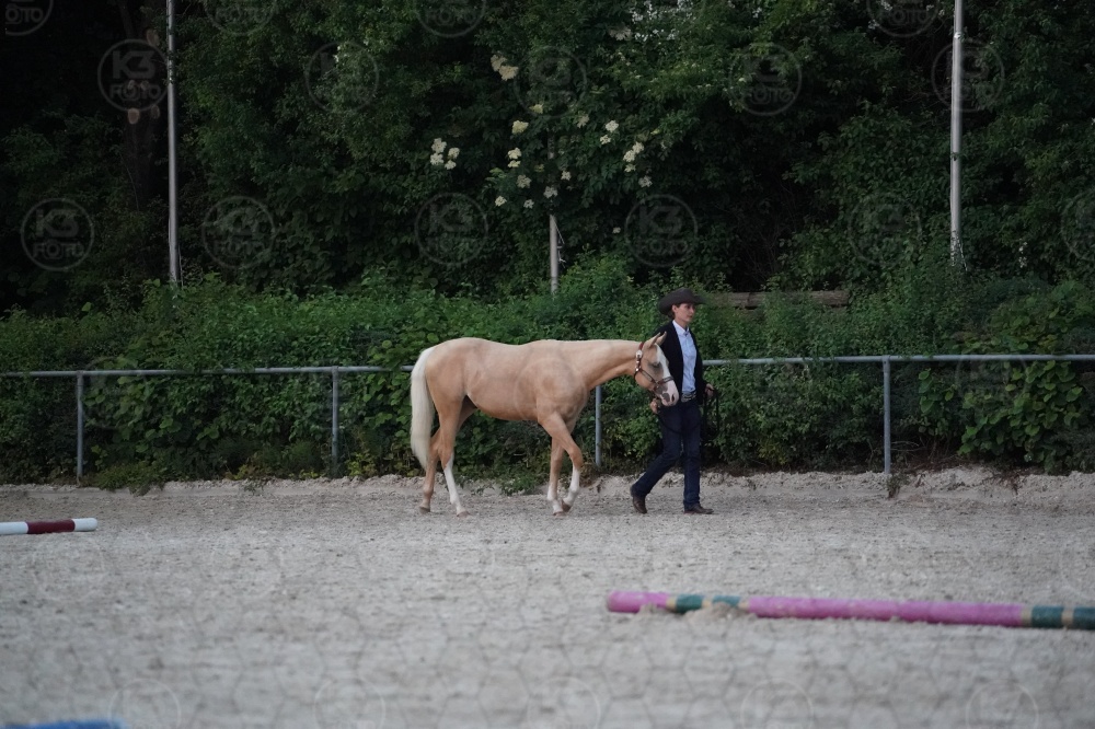 s_A9_05461.jpg